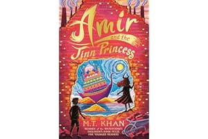 Amir and the Jinn Princess