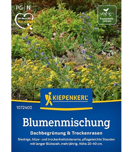 Sedum Samen Mischung, 1000 Stck, fr Dachbegrnung und Steingarten,  Verschiedene Sorten : Amazon.de: Garten
