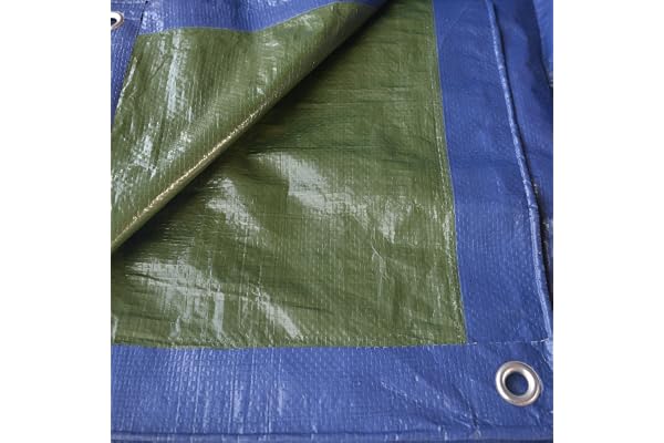 Tenax Cover All Bâche avec œillets en métal imperméable et indéchirable 3 x 5 m Vert/bleu 90 g/m² Pour bois, meubles de jardin, voitures, piscines, bateaux, camping