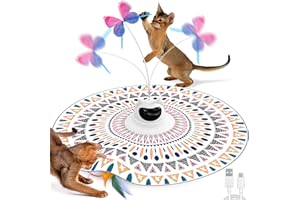 Spessn Jouet interactif pour chat - 2 en 1 - Jouet électrique pour chat - Jouet intelligent rechargeable pour le mouvement des chats domestiques - Convient pour les chats de tous âges