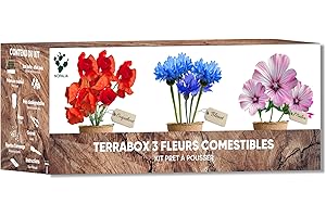 NOPALIA Kit Fleurs Comestibles – Graines Bio Coquelicot, Mauve, Bleuet – Mini Jardin Intérieur & Extérieur – Cadeau Cuisine & Jardinage Original – DIY Déco Écologique – Made in France