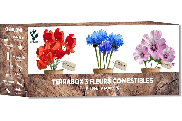 NOPALIA® Kit Fleurs Comestibles – Graines Bio Coquelicot, Mauve, Bleuet – Mini Jardin Intérieur & Extérieur –Jardinage Original – DIY Déco Écologique – Cadeau fête des mères