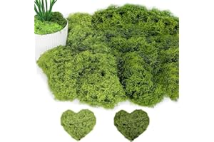 PACUM Musgo Artificial Decoracion 100g Musgo Artificial Musgo Natural Preservado Plantas Artificiales Simulación de Musgo Musgo Conservado Decorativo para Musgo，para Manualidades（Verde oscuro + verde claro）