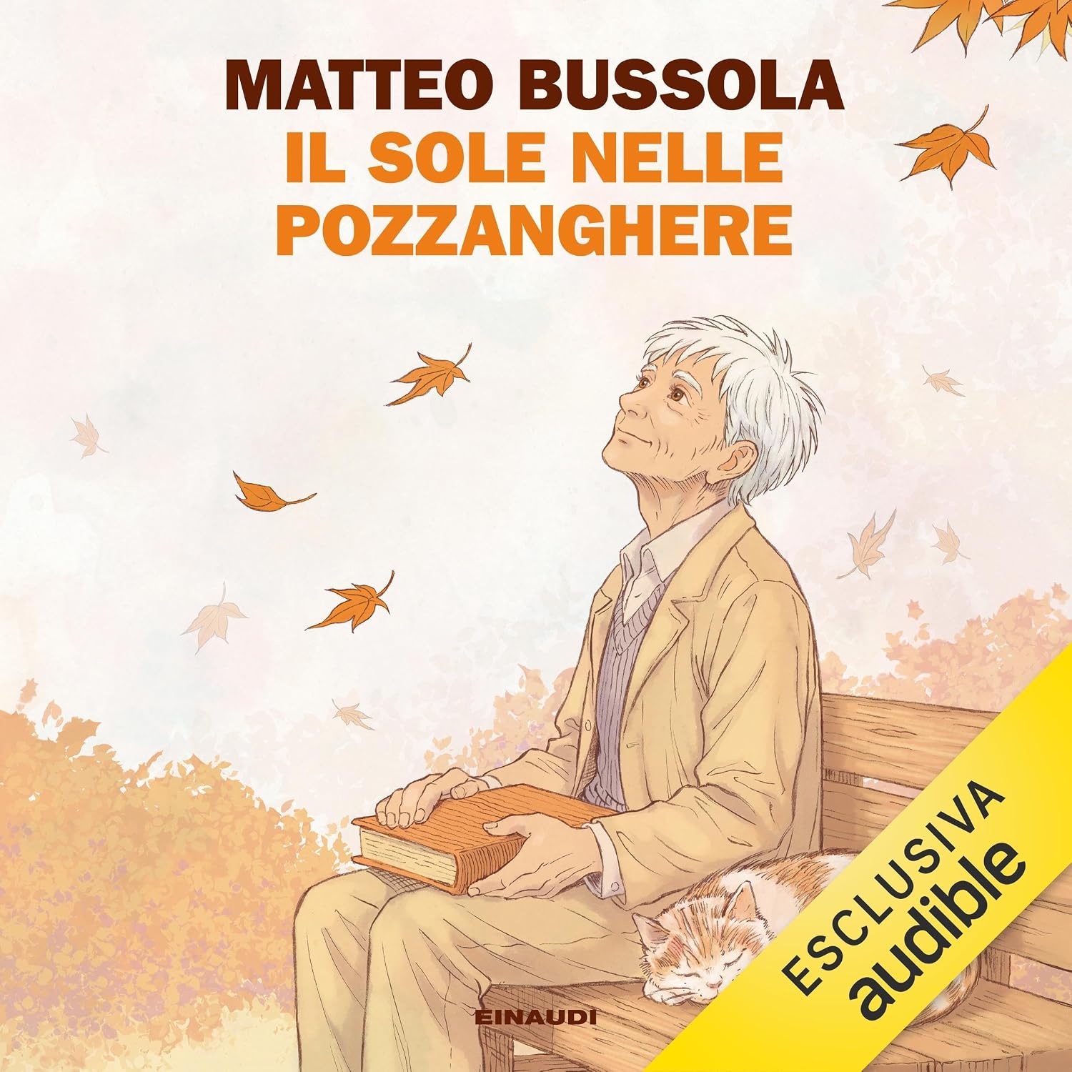 Dossier Complet & Guide Pratique : Il sole nelle pozzanghere