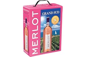 Grand Sud - Merlot Rosé aus Süd-Frankreich - Sortentypischer Trocken Roséwein - Großpackungen Wein Bag in Box 3l (1 x 3 L)