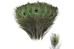 YSBCNK 25Pcs Peacock Feathers, Large Feathers, Natural Feathers, Peacock Tail Feather for Wedding, Christmas Party Decoration, Vase Decoration Feathers, Peacock Costume, DIY Art & Craft