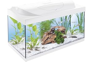 Tetra Acquario Starter Line 54 L, bianco, set completo - include illuminazione a LED diurna e notturna, filtro interno, riscaldatore, cibo per pesci e condizionatore