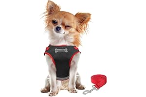 FEimaX Pettorina per Gatti Antifuga Regolabile Imbracatura con Guinzaglio per Cani Gatti di piccola Taglia, Set di Imbracature Cuccioli Gattini Riflettente per Auto