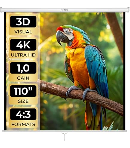SHMIZZ Pantalla LCD HD de 3,97 Pulgadas y 30 Pines for Pantalla de