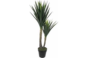 MICA DECORATIONS MICA 83165 YUCCA PVC EN Maceta 120X60CM, Neutro, 60 x 60 x 120 cm