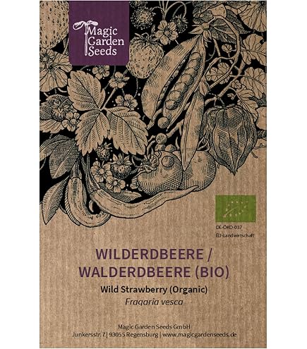 Graines De Fraise Blanche 'Yellow Wonder' - Environ 100 Semences De Fragaria Vesca Pour Jardin