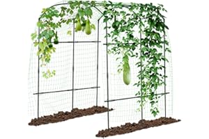 SUNYRISY Grande arco da giardino per piante rampicanti, supporto in metallo rivestito in PE alto 220 cm, con rete per tralicci, per luffa, cetriolo, arco per piante rampicanti all'aperto