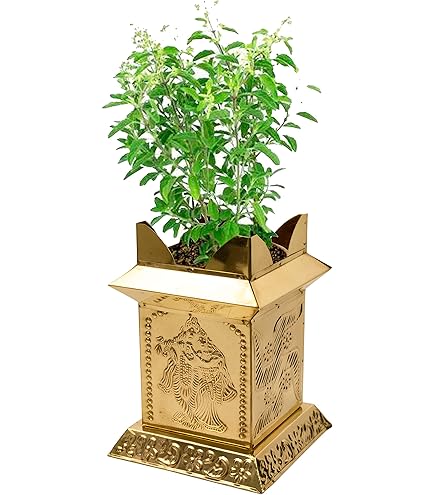 YRK Brass Tulasi Kota 7 INCH | Brindavanam | Tulsi Pot | Tulsi