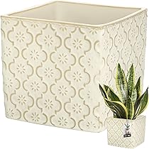 KOTARBAU® Pot De Fleur Rond En Céramique Gris ⌀ 9,5 Cm Pour Orchidées | Cache Pot