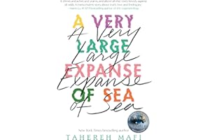 A Very Large Expanse of Sea: from the bestselling author of the TikTok Made Me Buy It sensation, Shatter Me