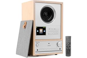 Audizio Canzo - Radio por Internet Dab+ FM con Bluetooth 5.3, USB, Altavoz 40W, Pantalla LCD a Color, WiFi y LAN RJ45, Panel extraíble, Entrada Auxiliar, Mando Incluido, Color Madera Clara