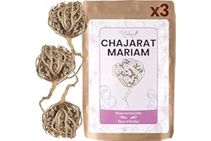 VIRHEA® Rose von Jericho Chajarat Mariam x3 - Echte Maryam Pflanze - Wunderschöne Kaf Pflanze für Dekoration - Ideal für Ihre Wohnung oder als Geschenk