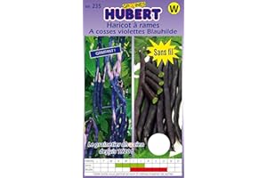 GRAINES HUBERT SEMENCES & ENGRAIS MAIROL Graines de Haricot à rames à cosses violettes Blauhilde - 125 grammes