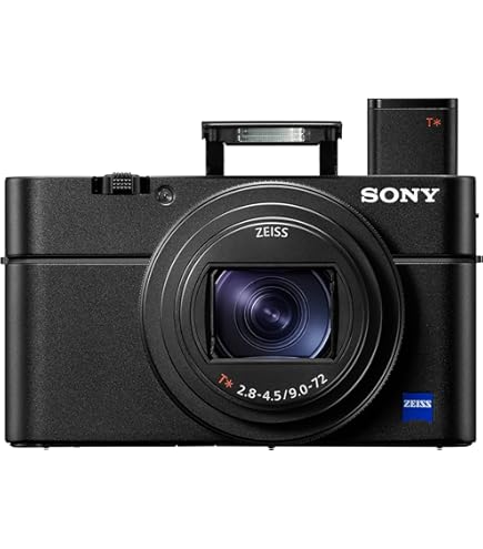 Sony RX100 VI | Advanced Premium Compact Camera (1.0-Type Sensor