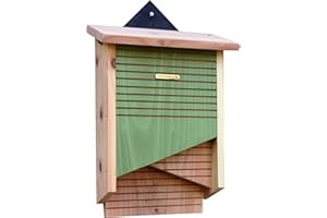 Wildlife World Conservation Bat Box CSVBB