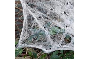 CNSSKJ Halloween Spider Web Decoration,100g Spider Web Halloween Decoration with 20pcs Fake Spiders Web Cobweb,Stretchable Halloween Cobwebs for Halloween Decorations Haunted House Halloween Party