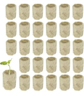 200 Stück Hydroponik Schwämme 25x25mm - Für Samen & Stecklinge | Ohne Erde