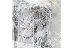 WTZWYFWJ Decorazioni Di Halloween Di Ragnatele Estensibili,Halloween 200g Decorazione Ragnatela Bianca Con 40 Ragni Finti,Per All'aperto,Interno,Ragnatela per Addobbi Halloween Casa per Case Infestate