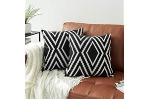 Dremisland Lot de 2 Housse de Coussin étanche Géométriques Noir et Blanc Taie d'oreiller Extérieure Imperméable Boho Aztec Housse de Coussin pour Jardin Canapé Maison Salon Chambre (45x45cm, Noir)