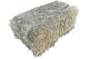 FUNWAVE 18-20 Kg 1.Schnitt Wiesenheu Heu 20kg Heuballen Kaninchen Meerschweinchen Chinchilla Degu Hamster Schaf Ziege Pferd etc.