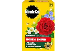 Miracle-Gro Rose and Shrub Fast Acting Granules Plant Food, 3 kg