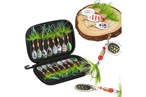 JasCherry Kit leurres pêche, 43 pièces, leurres à Paillettes avec hameçon, Accessoires de pêche réalistes, cuillères et boîte de Rangement
