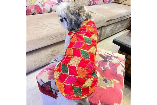 Lulala Dog Sherwani for Wedding Traditional Ethnic Indian Outfit for Dogs for Pets Designer Pet Kurta Coat for Small & Large Dogs (Red, 12 Inch)