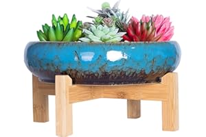 ARTKETTY Doniczka na sukulenty – duża doniczka bonsai ze stojakiem, płytka doniczka na rośliny kaktusowe z ekranem drenażowym, 25,4 cm, ceramiczna miska na rośliny do użytku wewnątrz i na zewnątrz,