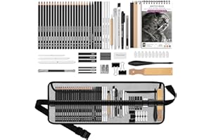 HIFORNY Juego de 60 Lápices de Dibujo y Bocetos, Suministros de Arte Con Cuaderno de 3 Colores, Grafito, Carbón Para Adultos Artistas