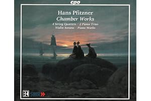 Chamber Works (Wallin, Schubert Quartet, Schumann Trio)