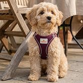 GOBYPET K&ouml;pek ve Kedi G&ouml;ğ&uuml;s Tasması XS | Nefes Alabilen File Kumaş | Ayarlanabilir Yelek Tasarım | Yansıtıcı Şeritli | K&uuml;&ccedil;&uuml;k 