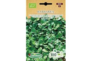 Germisem Orgánica Barbarea Semillas de Wintercress 2 g, ECBIO7012