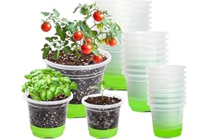 MIXC Lot de 24 pots de culture, 9/10/12 cm, transparents, avec socle en silicone, réutilisables, en plastique, pour plantes, fleurs, légumes, vert