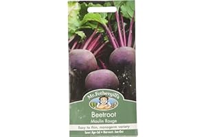 MR FOTHERGILLS Mr Fothergill?s Seeds Ltd 22408 Mr Fothergill's Beetroot Moulin Rouge Seeds