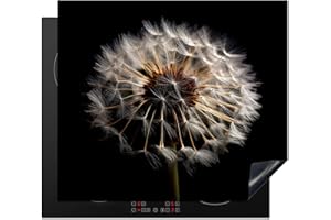 KitchenYeah© Coperchio Piano Cottura 59x52 cm Cucina Copri Fornelli Tappetino Induzione Antiscivolo Piastra Protezione Fiori - Naturale - Tarassaco - Nero - Ritratto