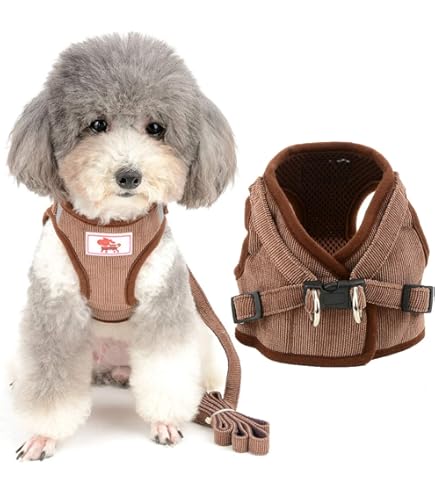 Guinzaglio Retrattile Per Cani 5 Metri - Taglia Piccola/Media, Con Blocco A Una Mano - Foto 4