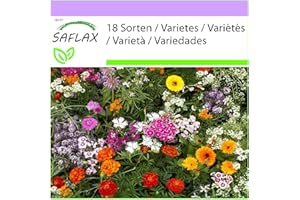 SAFLAX - Polne Kwiaty - Urzekające Zapachy - 1000 Nasiona - 18 Wildflower Mix