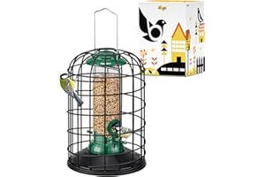 iBorn Squirrel Proof Bird Feeders – Hanging Wild Bird Feeder for Mix Seed Blends, Sunflower Heart, Heavy Duty All Metal Anti-UV Finishing, 8 Inch Green BirdFeeder, for Bird Lovers
