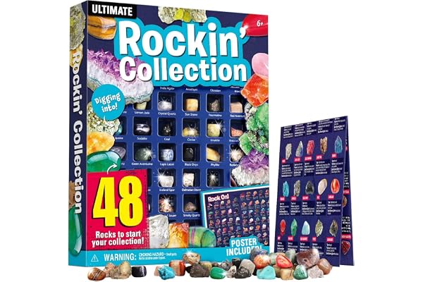 Dr. Daz Gem Collection Lot de 48 pierres minérales pour enfants avec feuille d'identification éducative en cristal de quartz et pierres pyrite