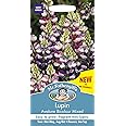 Mr Fothergill's 27318" Lupin Avalune Bicolour Mix Seed Packet, Mauve/Pink, 0.3x7.5x14.5 cm