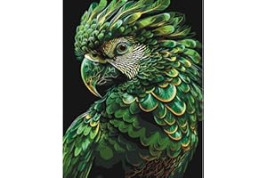 feelive Oiseaux Peinture par Numéro pour Adulte, Kit de Peinture à l'huile sur Toile Bricolage pour Débutants Avec Pinceau Pigment Acrylique 30x40cm