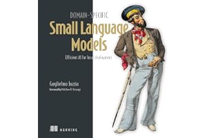 Domain-Specific Small Language Models: Efficient AI for Local Deployment