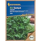 Petersilie Gigante de Italia Bio-Saatgut