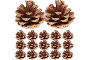 Rosenice Lot de 48 pommes de pin naturelles séchées, objet décoratif à suspendre pour Noël ou pour loisirs créatifs - Marron