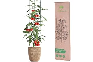 LEAFIMPACT 1er-Pack Rankhilfe Tomaten und Gurken | Anpassbare Rankgitter für Tomaten | Tomaten Rankhilfe | Tomatenrankhilfen | Rankgitter Tomaten | Tomatenstäbe | Tomatensäulen | Blumen & Pflanzen